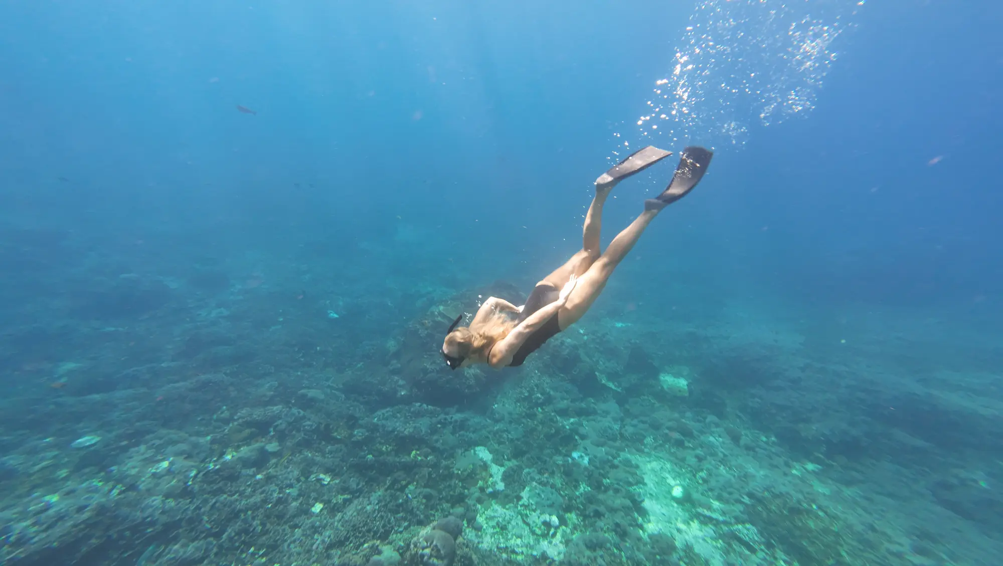 Nusa Penida West Tour + Private Snorkeling