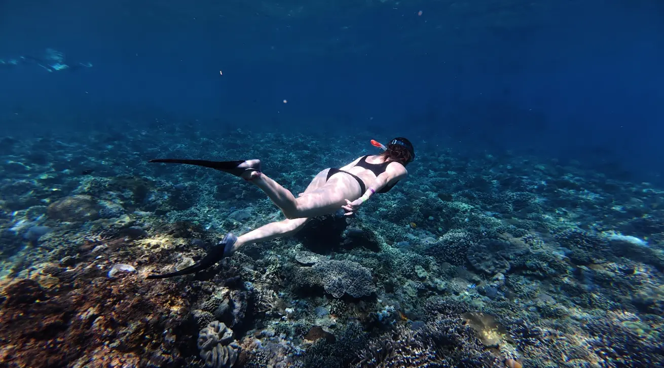 Nusa Penida Snorkeling Only– Manta Bay & Manta Point | Private or Sharing