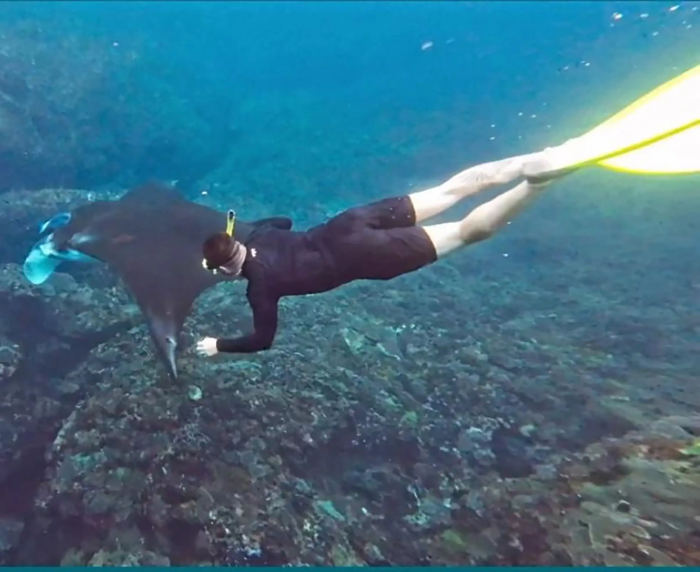 Nusa Penida Snorkeling Only
